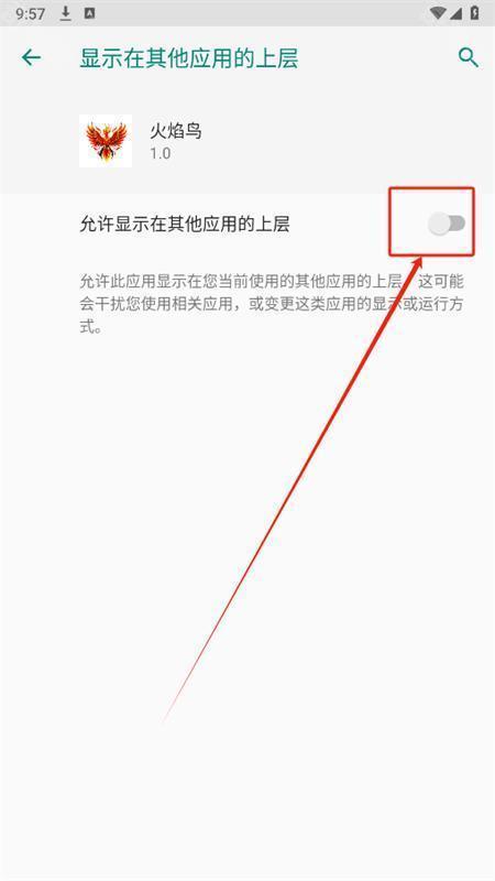 火焰鸟直装6.0