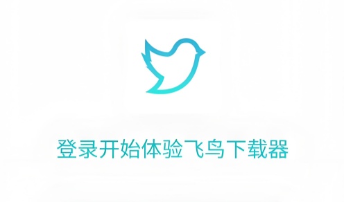 飞鸟下载器