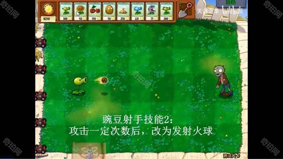 植物大战僵尸坑版