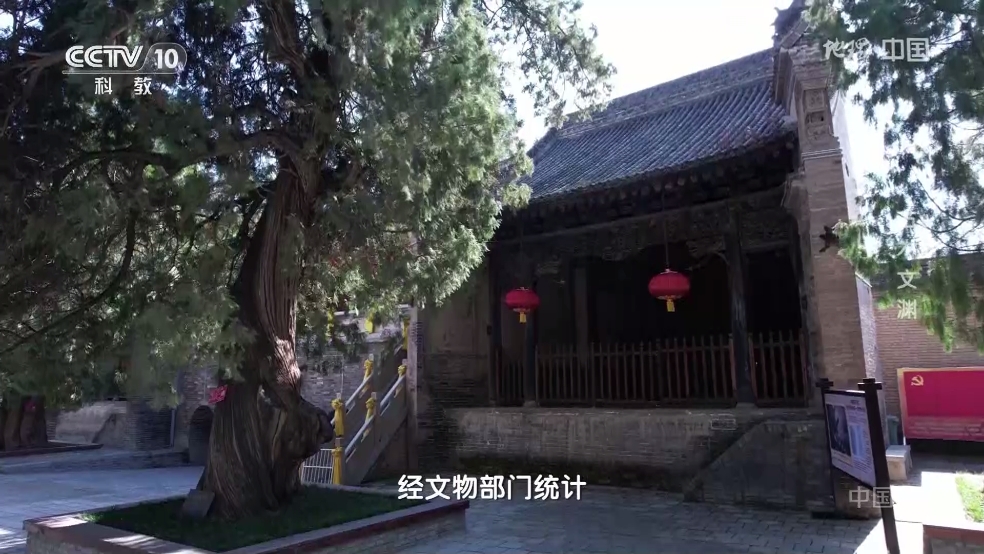 魄狼TV电视版