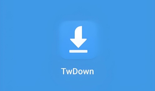 TwDown下载器