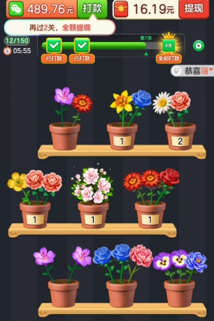 花朵物语正式版