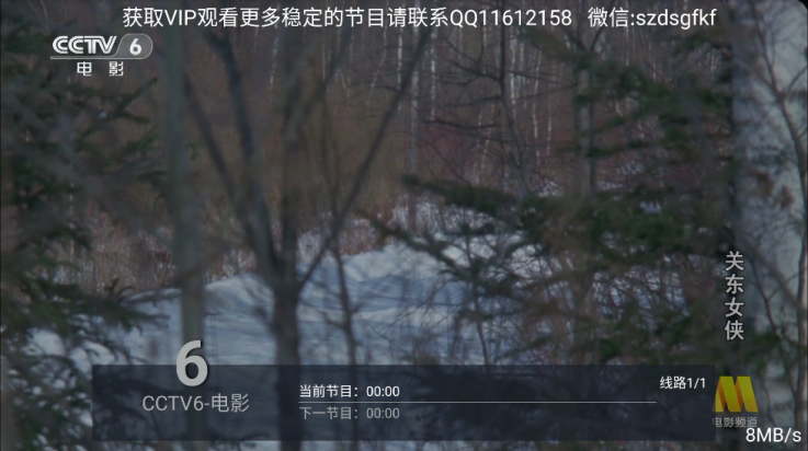 数字电视tv版