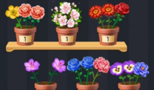 花朵物语