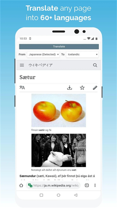 kiwi浏览器ios版