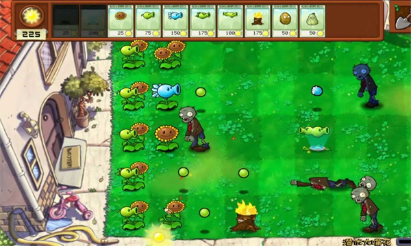 植物大战僵尸拼接版最新版