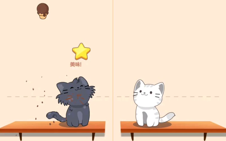 猫咪二重奏