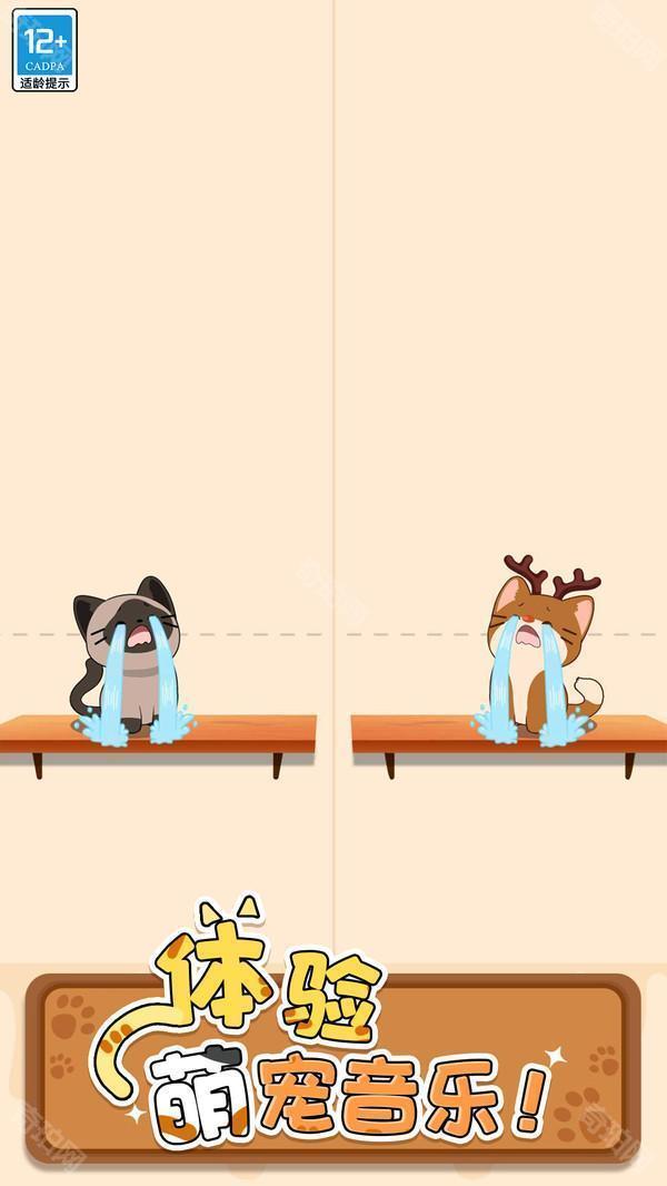 duet cats正版