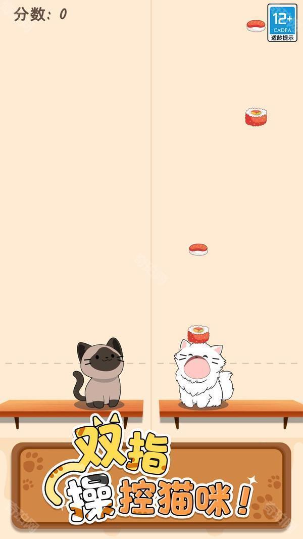 duet cats正版