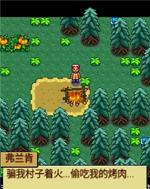 宠物王国4白金