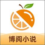 博阅小说