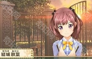 纯爱偶像离线版