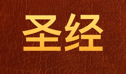 有声播放的圣经软件