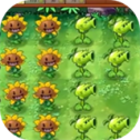 植物大战僵尸荒野版