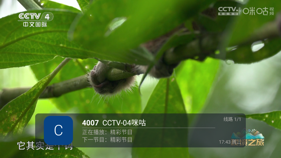 前线电视