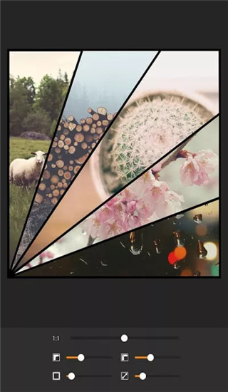 moldiv免费中文版