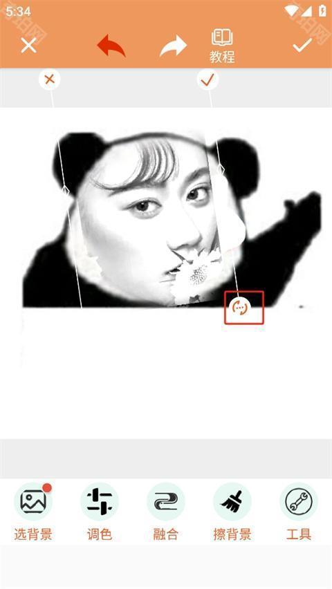 暴走p图