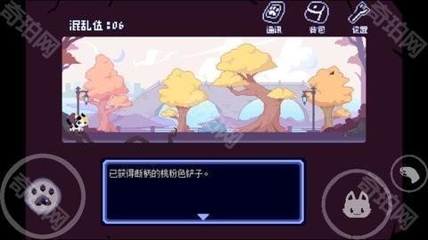 对人类过敏的猫