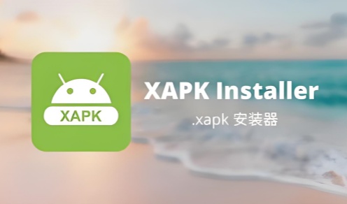 xapk安装器