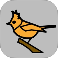 whoBIRD