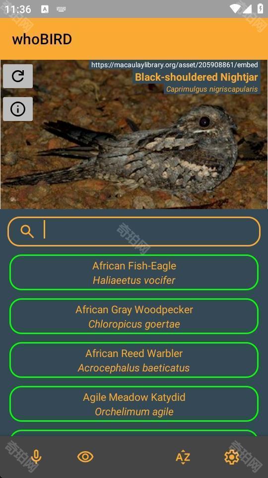 whoBIRD离线版