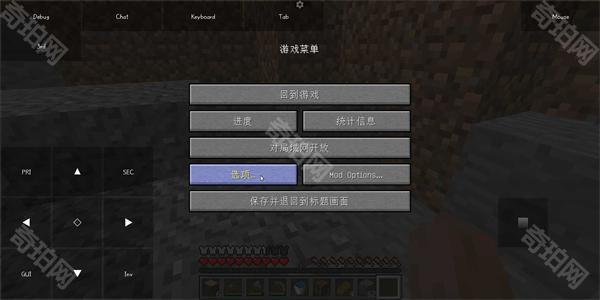 pojavlauncher ios版