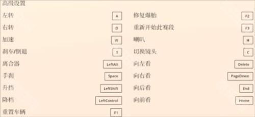 拉力赛艺术中文版图片7