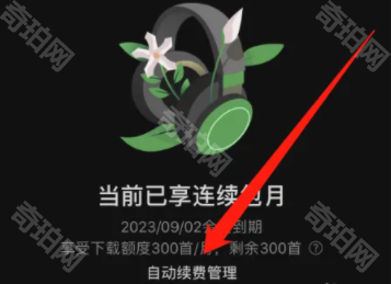 汽水音乐最新版
