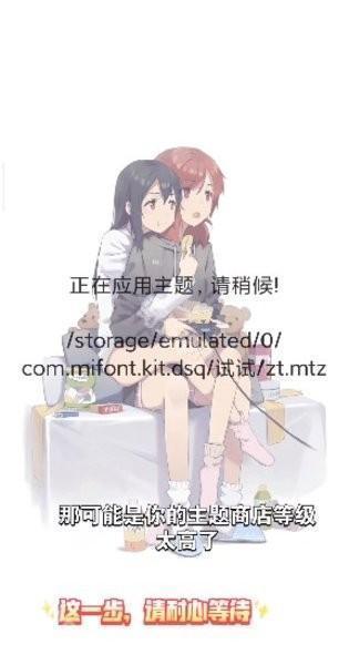 小米主题安装器pro国际版