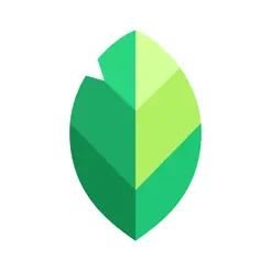 snapseed苹果版3.0