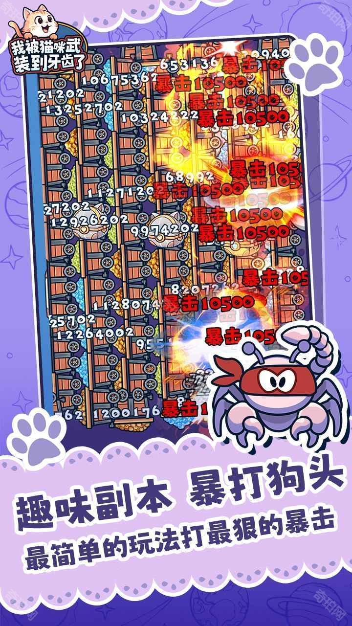 我被猫咪武装到牙齿了