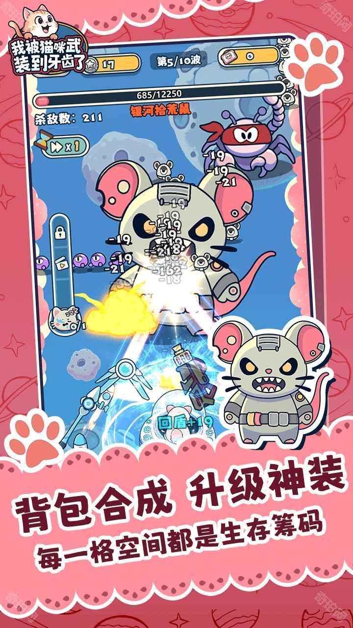 我被猫咪武装到牙齿了