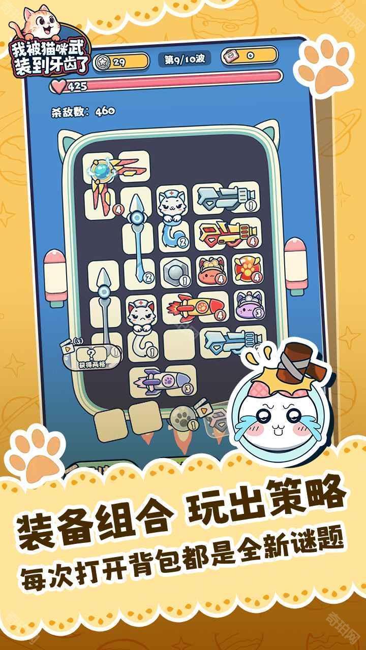我被猫咪武装到牙齿了