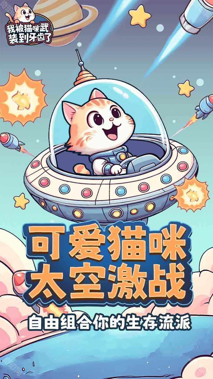 我被猫咪武装到牙齿了