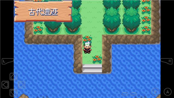 口袋妖怪永恒之沫最新版