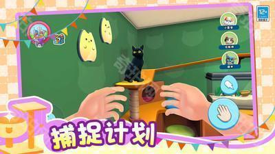 小小猫之家