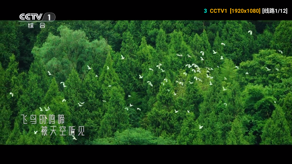 星云影视