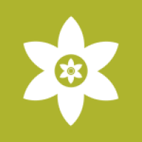 安装狮