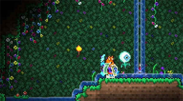 泰拉瑞亚皮皮蛙汉化版