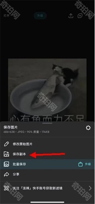 Polarr安卓版