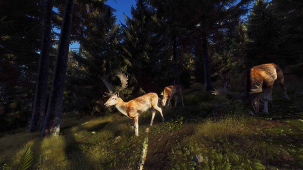 猎人之路手机版下载 v1.0.1