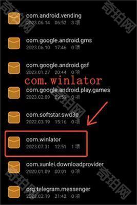 winlator模拟器安兔兔版
