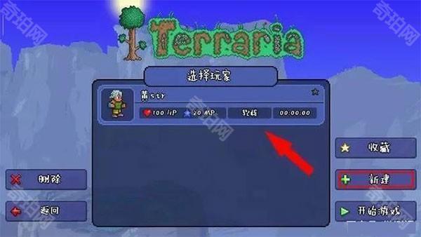 泰拉瑞亚灾厄怎么联机截图1