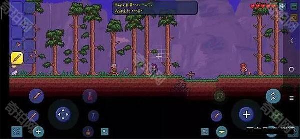 泰拉瑞亚灾厄怎么联机截图5