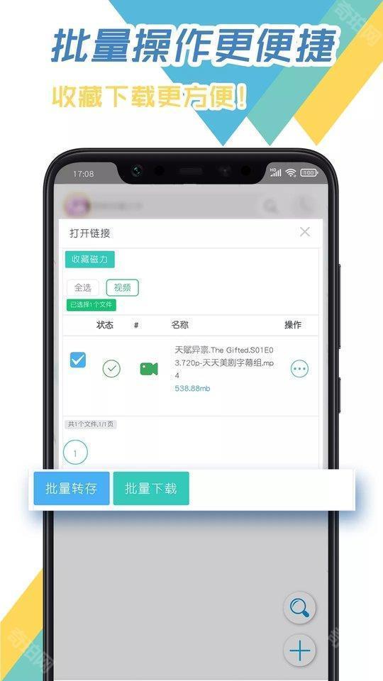 飞鸟下载器安卓版