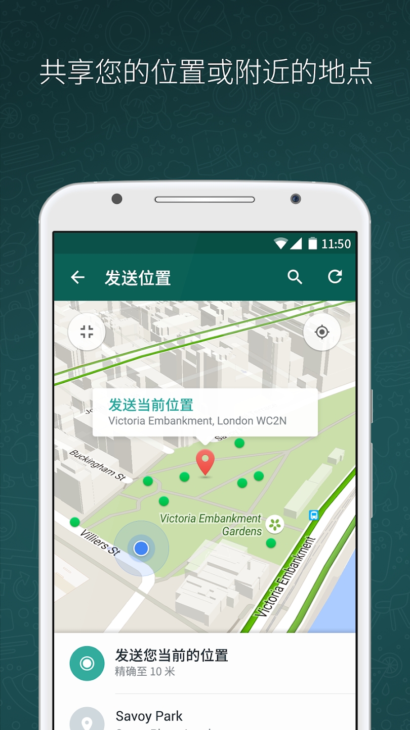 WhatsApp苹果版