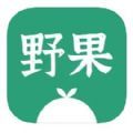 野果阅读纯金版