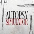 autopsy simulator