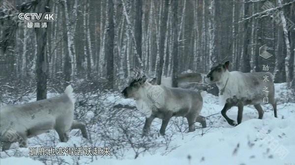 我的电视2025最新版