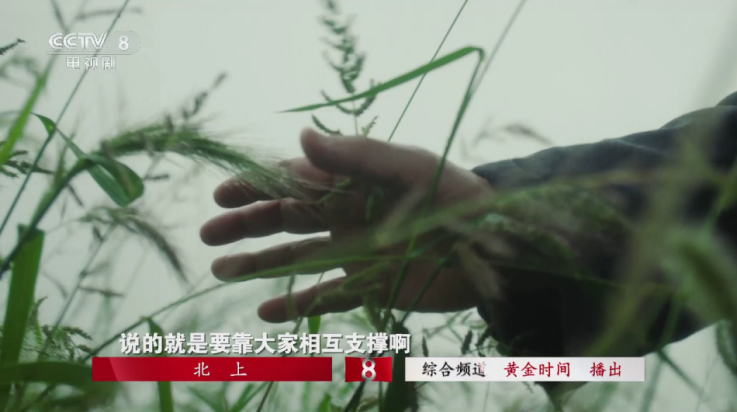 看看影视